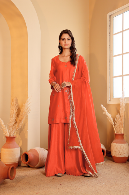 Shurkh Sharara Set