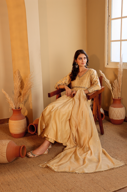 Noor Anarkali Set