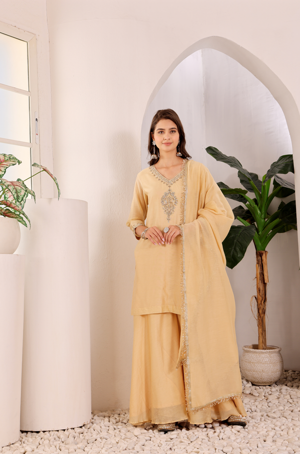 Noorie Sharara Set